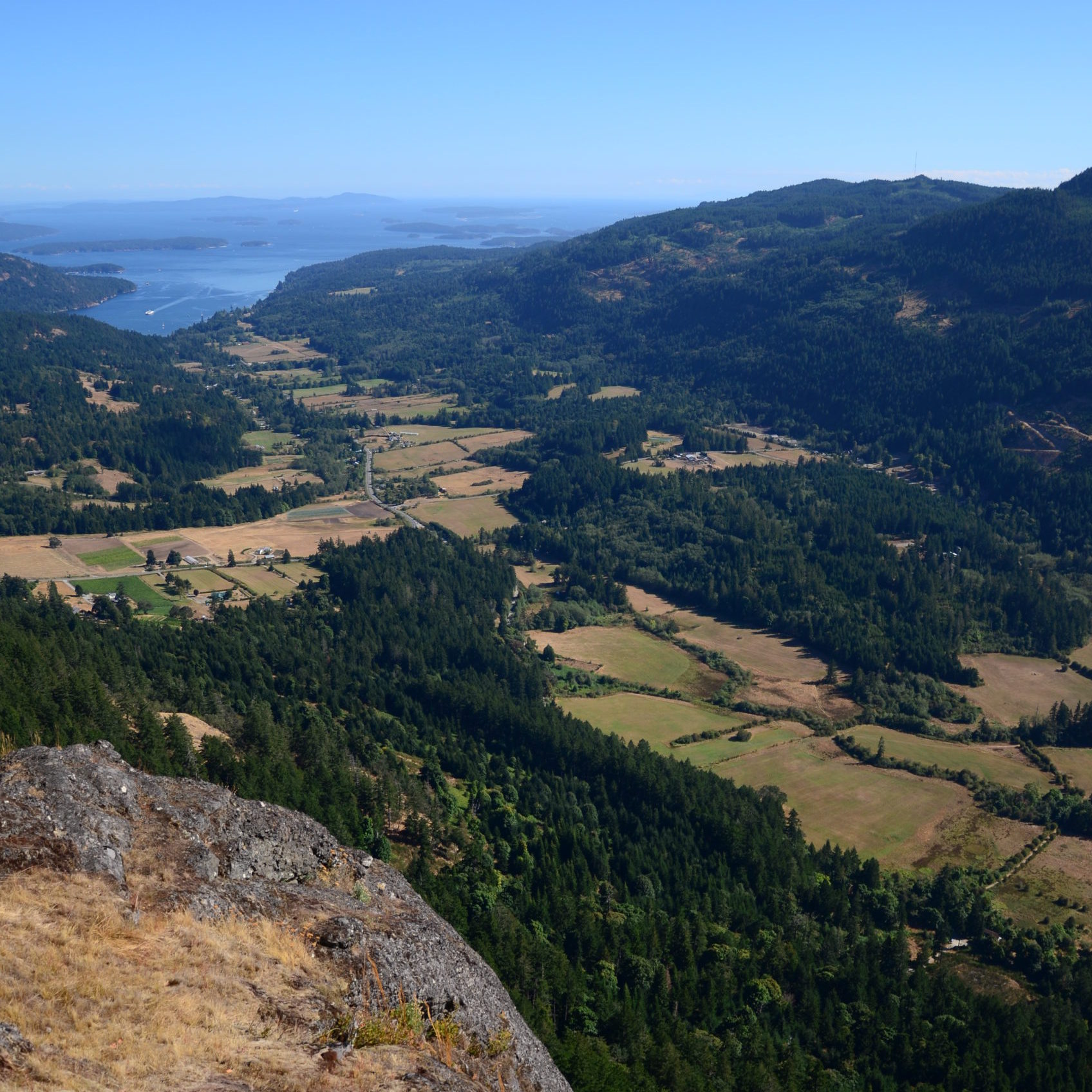 view of a green tree covered valley with fields and a distant ocean under a blue sky in the background